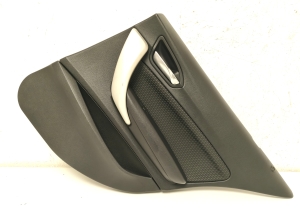   Rear side door panel  -  