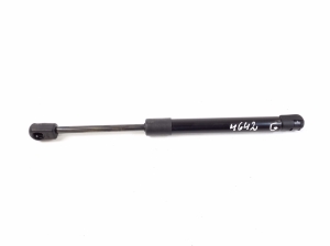   Trunk lid strut  - A1717500036 