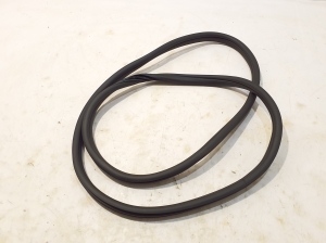 BMW 1 SERIES F40 (2019–2026) Front door rubber seal 9880688 - 2
