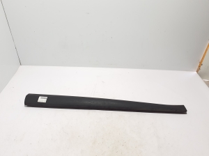 Zierleiste Tür vorne - 801860014R