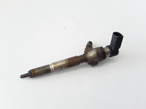   Fuel injector 