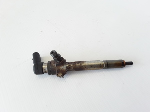   Fuel injector 