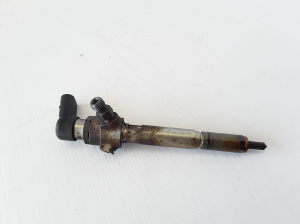   Fuel injector 