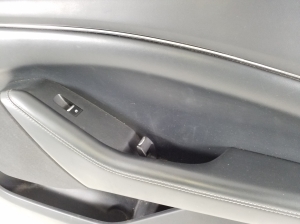Ford Mustang Mach-E Mach-E (2020–2026) Front door panel - 2