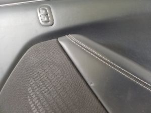 Ford Mustang Mach-E Mach-E (2020–2026) Front door panel - 3