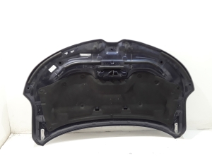 RENAULT Koleos (2016–2026) Hood 651009482R - 3
