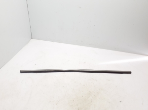   Rear side door outer window molding  - 828219580R 