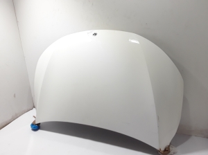 Motorhaube - A2958807900