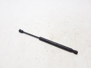   Hood prop/gas strut  - 654709269R 