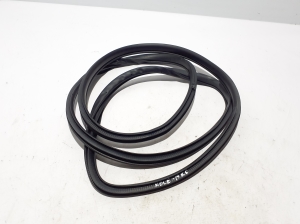   Rear side door seal on the door  - 769242829R 