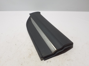 RENAULT Koleos (2016–2026) Rear side door molding 808218403R - 3