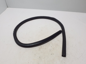 AUDI A5 (2007–2016) Front door rubber seal 8F0831707B - 3