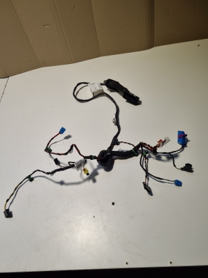 Interior wiring harness - 17B971120DT