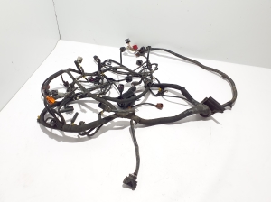   Faisceau moteur  -  