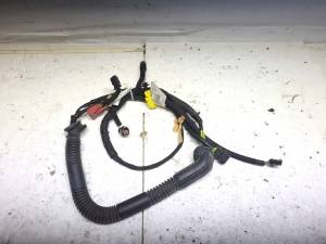 Wiring harness - 9812453380