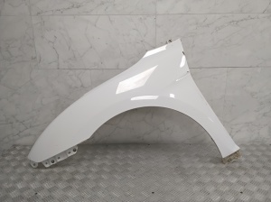 Front fender - 