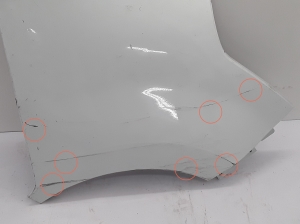 RENAULT Master III (2010–2017) Front fender 631000018R - 2