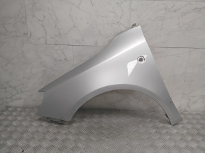 Front fender - 5J0821161