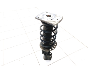   Front shock absorber and its components  - 9821596680 