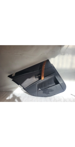 Rear side door panel trim - 