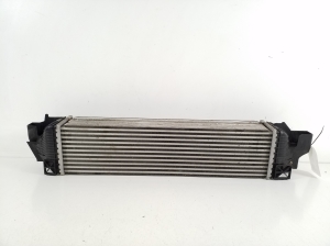 BMW X1 F48 (2015–2022) Vahejahuti radiaator 7617598 - 4