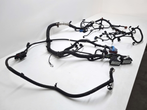 Ford C-MAX (2010–2026) Motorkabelbaum CV6T12A690 - 7