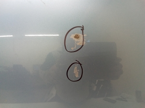 NISSAN Micra K12 (2002–2010) Motorhaube F5100AX6MA - 3
