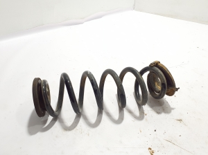 Rear spring - 550201245R