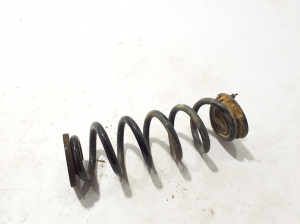 Rear spring - 550201245R