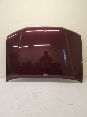 NISSAN Navara (1998–2007) Motorhaube AUT20751