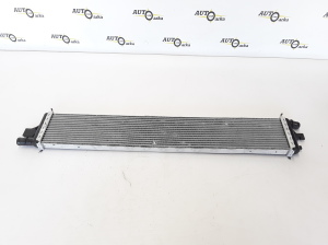 Other radiator - 214C10001R