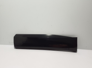 Rear side door molding - 828210300R