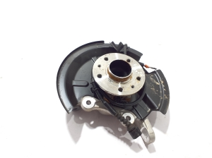 Rear wheel hub - 430423821R