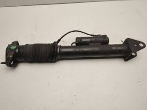   Stoßdämpfer hinten  - A1663200430 