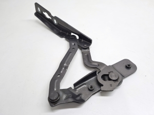 Ford C-MAX (2010–2026) Kapoti hing AM5116800AG - 7