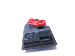 Verschluss des Tankdeckels - A0008207703