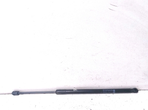 Motorhaubenstütze/Gasdruckfeder - A1669802354