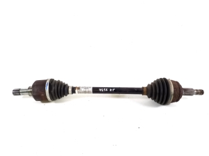   Esimene veovõll ja selle osad  - 9806699880 