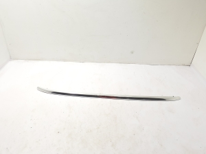 Dachreling - 8R0860022J