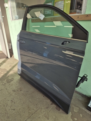 Volkswagen Taos I (2021–2026) Front door - 7