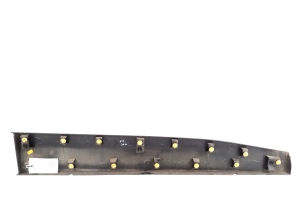 RENAULT Megane E-Tech CMF-EV (2022–2026) Front door molding 808215971R - 4