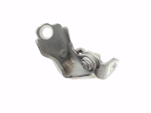   Front door lower hinge  - DS73F22811AA 