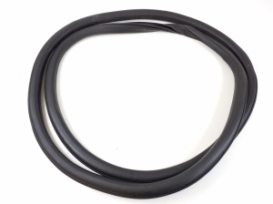   Rear side door seal on the door  - DS73N253A10AG 