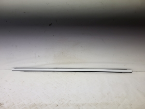 Fensterschachtleiste außen Tür hinten - 5E7839476BJV1