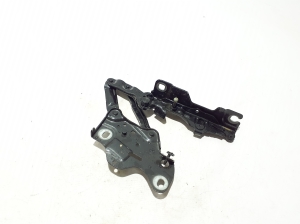   Kapoti hing  - 7418201 
