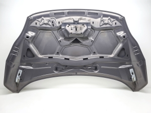 Ford C-MAX (2010–2026) Hood - 9