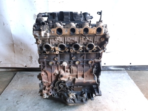 Motor - 10DZ47