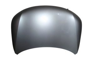 Motorhaube - 664002P500