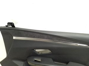 RENAULT Megane E-Tech CMF-EV (2022–2026) Front door panel 809001256R - 2