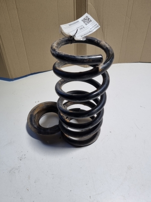   Feder hinten  -  